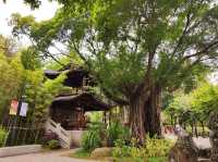 福州之行 - city walk (煙台山公園/ 閩江之心/ 解放大橋/ 茉莉大街)