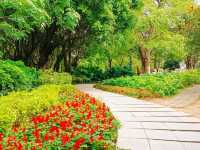 Haizhu Lake Park: An Urban Oasis in Guangzhou