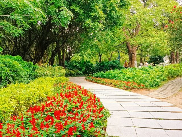 Haizhu Lake Park: An Urban Oasis in Guangzhou