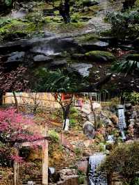 油菜花海醉遊人 婺源春日美如畫