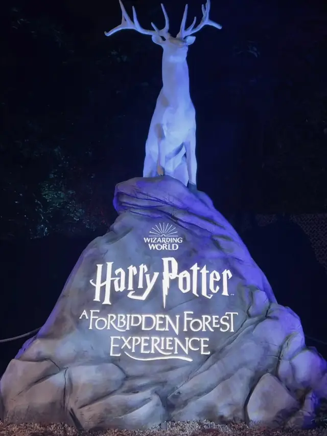 Forbidden Forest Secret Realm, Magical World: Harry Potter's Fantastic Adventure
