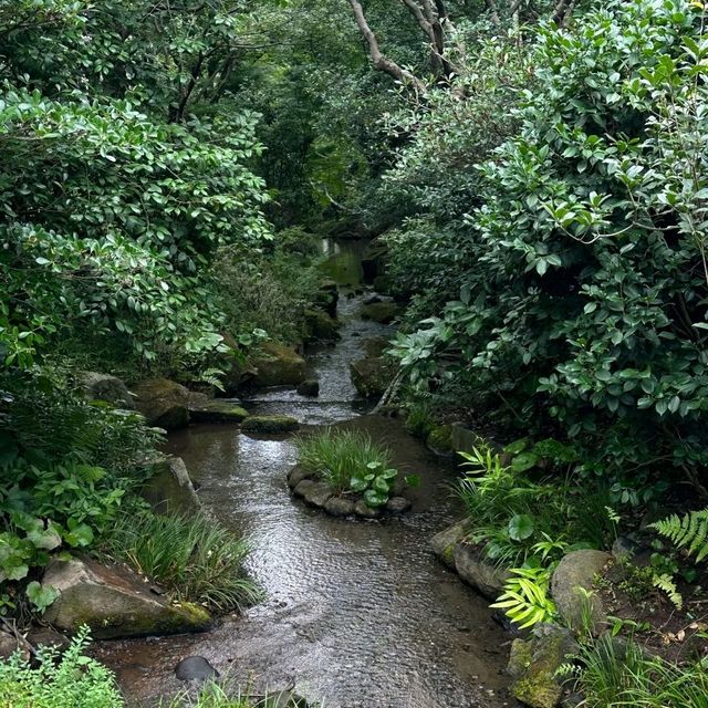 ✨東京椿山荘酒店｜霧境庭院美到窒息，更暖人心嘅係呢班天使職員！