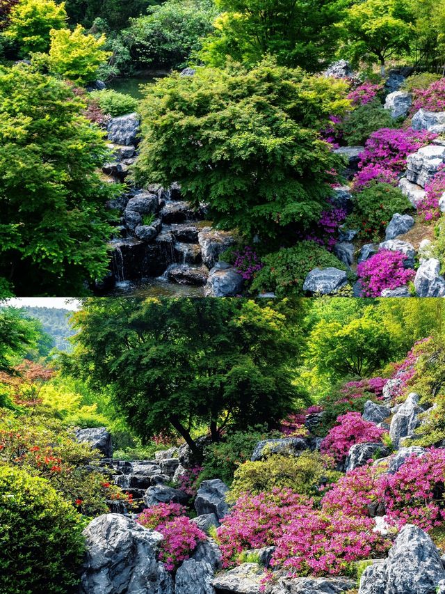 杭州周邊秘境｜這片花海讓朋友圈問爆了！