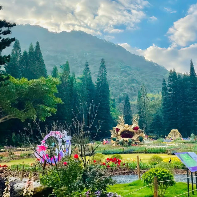 深圳仙湖植物園 | 必打卡景點推薦