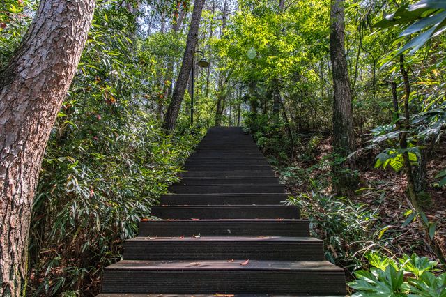 屯溪稽靈山：黃山市區不多見的原生態公園，森呼吸的絕佳去處！