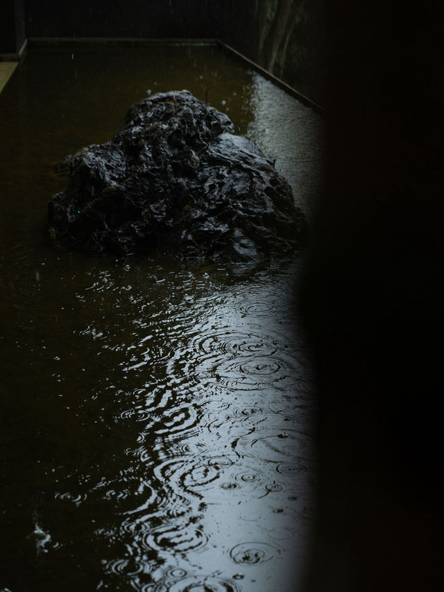 臨安潛川 | 雨天好適合躺在山裡