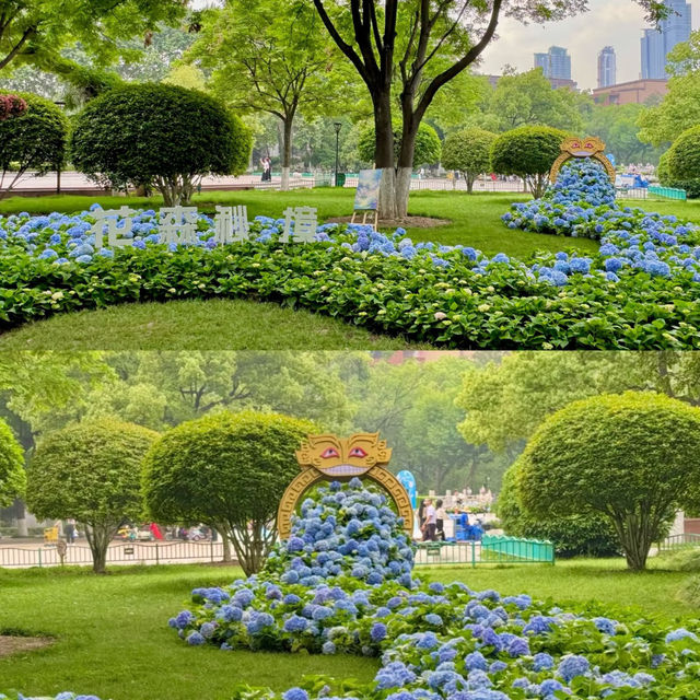 世界花園大會分會～中山公園（人更少，附攻略）