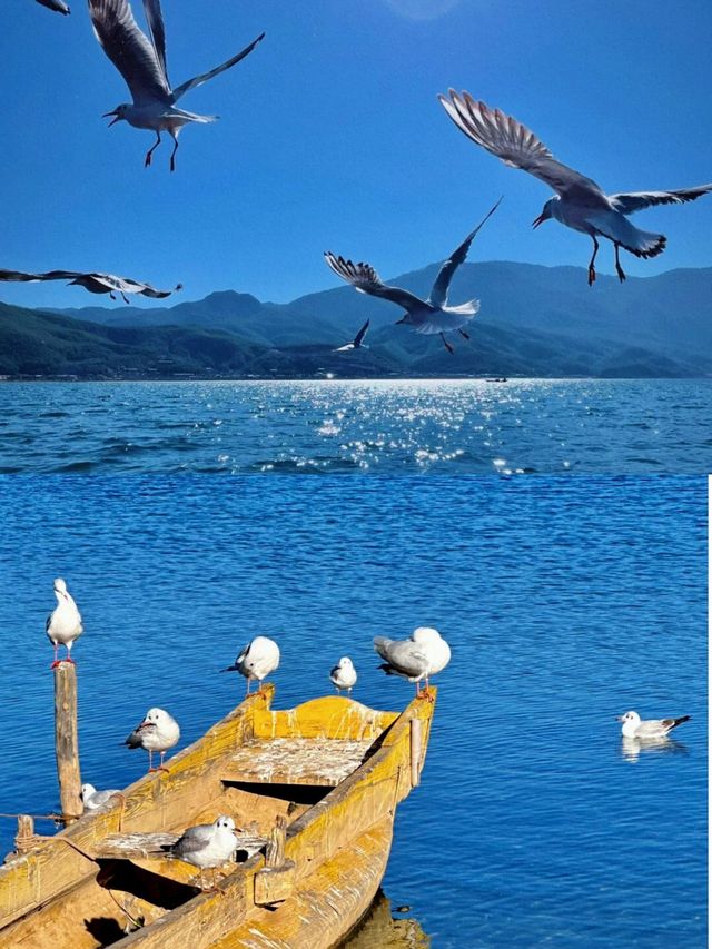 瀘沽湖「水性楊花」真相！當地人都唔敢講嘅秘密！