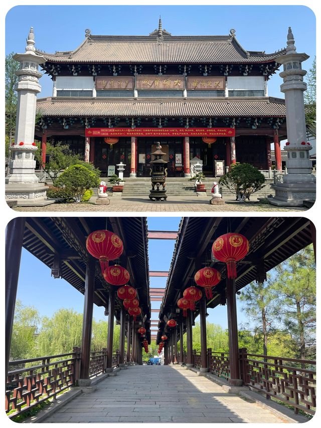 梅花洲花季啱啱好，五一記得早啲安排行程喇