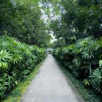廣州越秀公園 | 藏在市中心的千年時光與自然詩意🌳