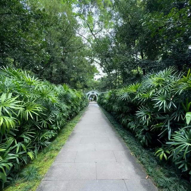 廣州越秀公園 | 藏在市中心的千年時光與自然詩意🌳