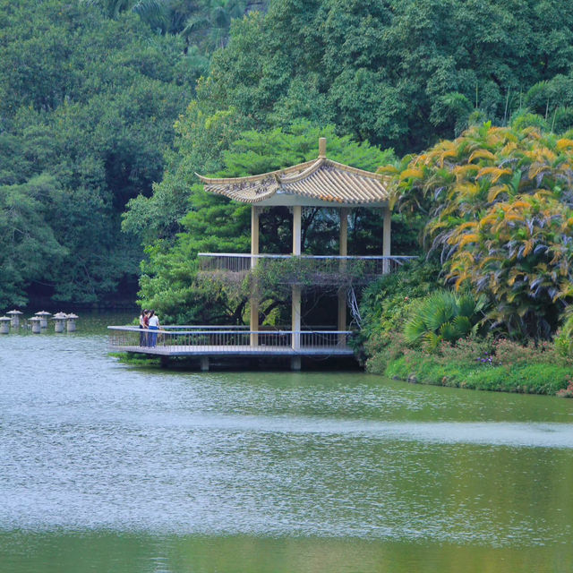 🌳廣州華南植物園｜闖入現實版綠野仙蹤！拍照遛娃全攻略
