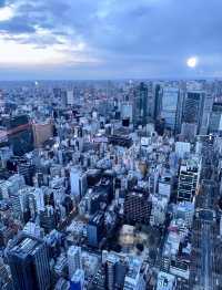 東京寶藏酒店 | 虎之門Hills安達仕