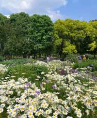 世博文化公園