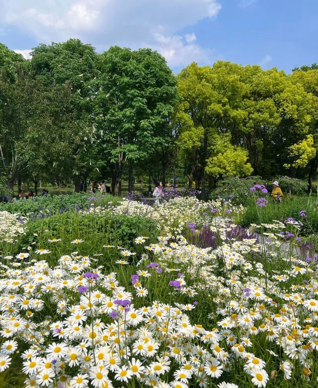 世博文化公園