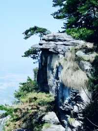 跟着“詩仙”的步伐也是徒步爬上了廬山。
