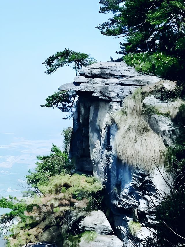 跟着“詩仙”的步伐也是徒步爬上了廬山。