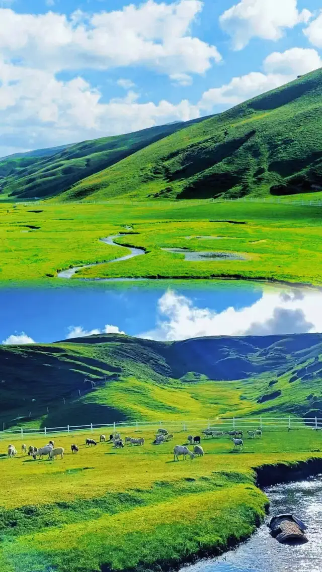 Dahai Caoshan: A Miyazaki Hayao Fairytale in Yunnan