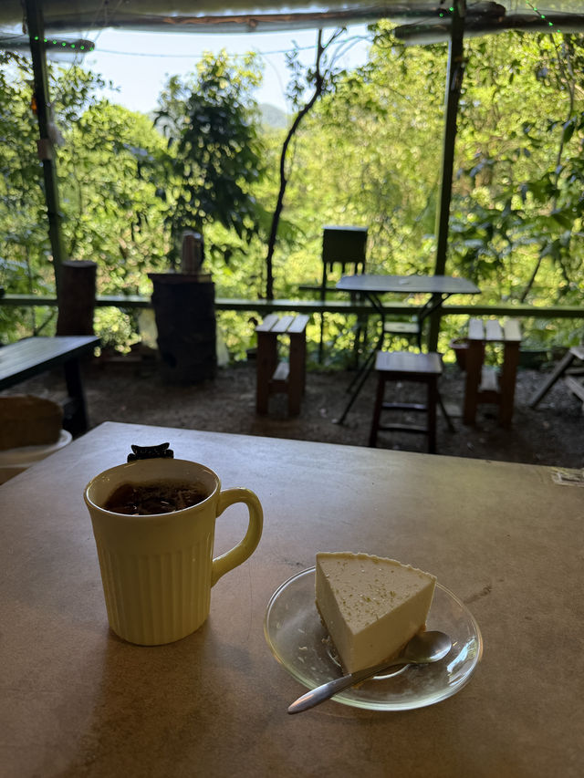 The Cutest Mountain Top Coffee Spot, Hidden In The Trees! A Caffeine Oasis ❤️ ☕️ 🌲 