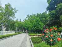 漫步山城學府：重慶大學深度遊覽攻略