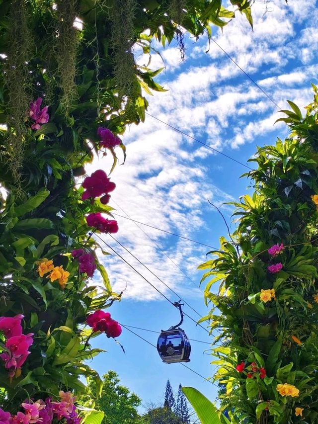 Guangzhou Yulong  Botanical Garden is so Amazing❤️🥰