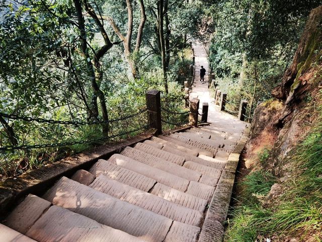 青城山旅行攻略|道教聖地與自然奇觀的完美交融 青城山旅行攻略|道教聖地與自然奇觀的完美交融