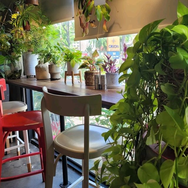 Nice ambiance