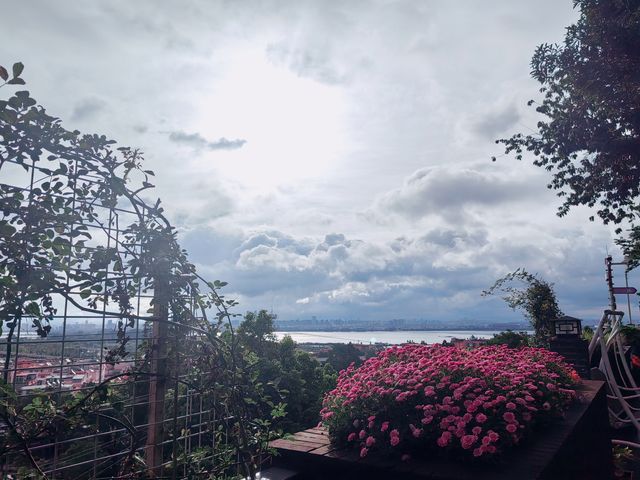 茶馬花園度假酒店