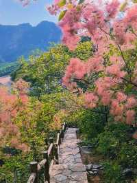 Pofeng ridge trails 