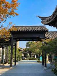 嘉興-杭州3日遊 玩轉雙城不踩坑