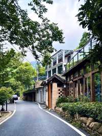 德清｜莫干山徒步，自然野趣與人文浪漫瘋狂碰撞