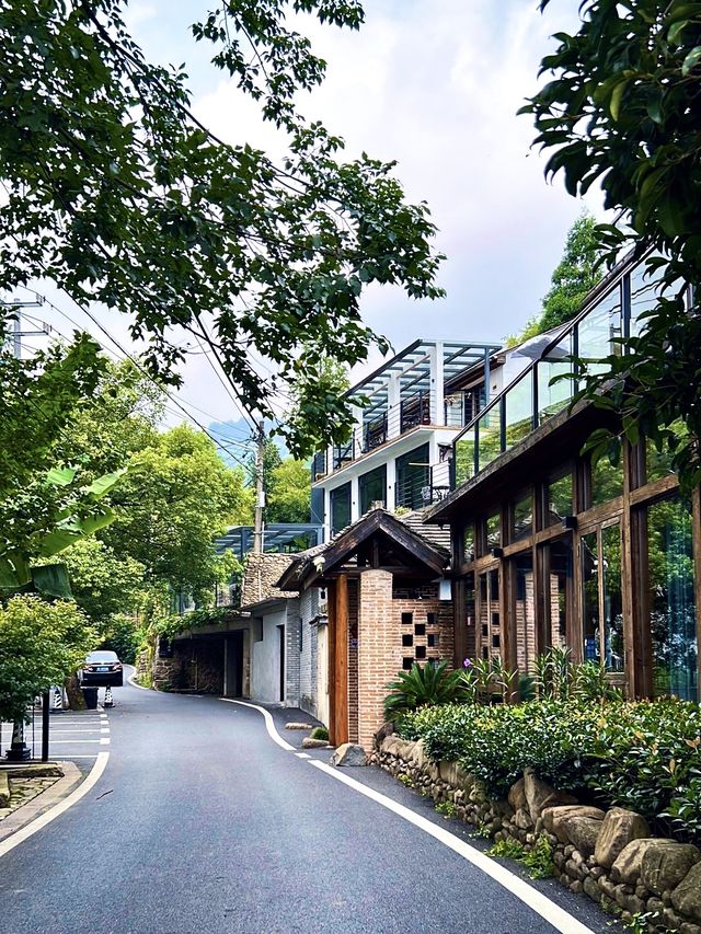 德清｜莫干山徒步，自然野趣與人文浪漫瘋狂碰撞