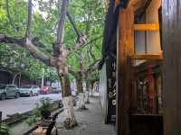 More than just Blue tears in Dujiangyan!