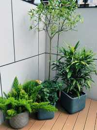 雨天影相絕佳，蕪湖探店新去處！