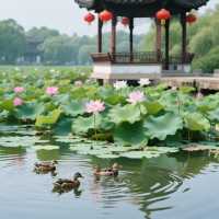 廈門植物園藏住神級打卡位！快衝！