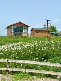 昭蘇·最適合田園牧歌嘅地方｜住進湖景小木屋，做一場慢節奏嘅夢