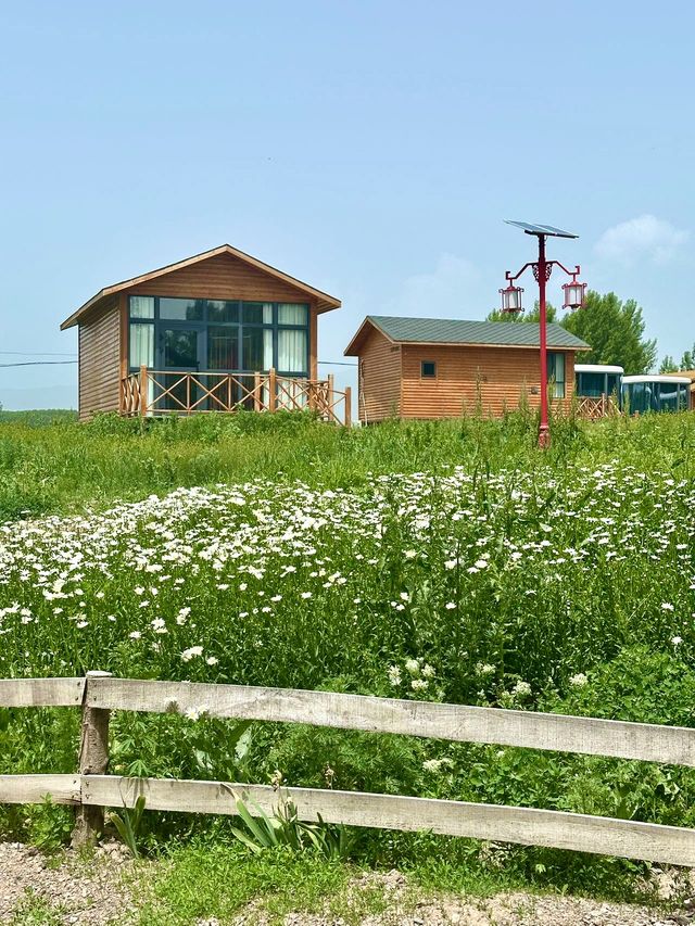 昭蘇·最適合田園牧歌嘅地方｜住進湖景小木屋，做一場慢節奏嘅夢
