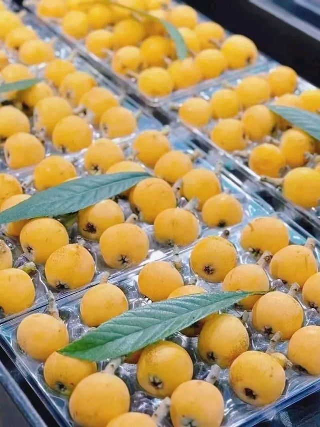 夏天还有这么凉快的地方吗