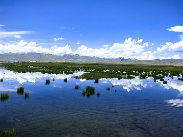 自駕甘南川北流水賬