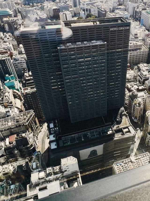 塔影與天空交匯之境：東京泛太平洋骊星酒店的無邊日記