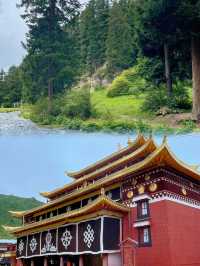 人生建議：6-8月一定要去睇甘南嘅夏天！因為……