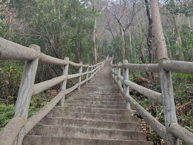 去咗3次九皇山，終於玩到明晒。