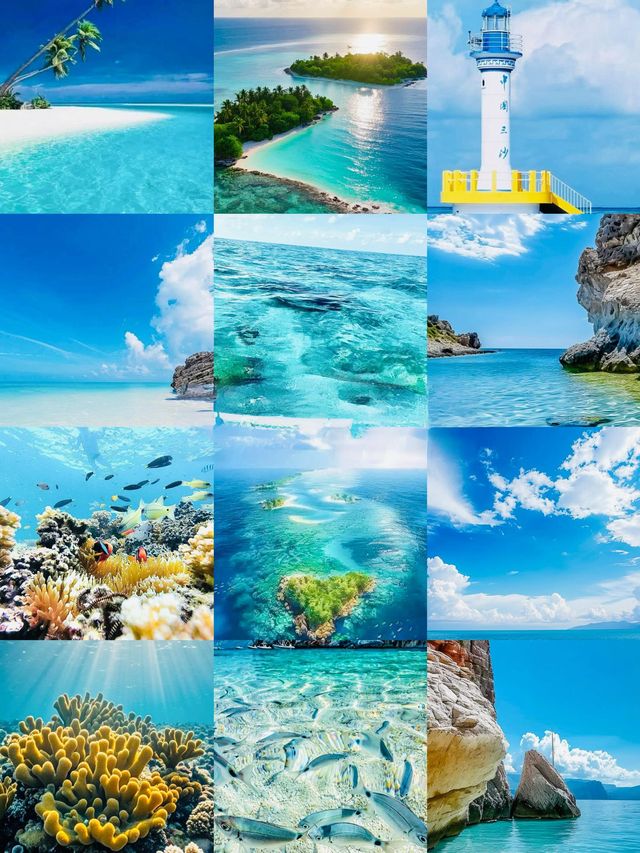 探索西沙群島｜邂逅人間仙境般的碧海珊瑚與靈動海龜