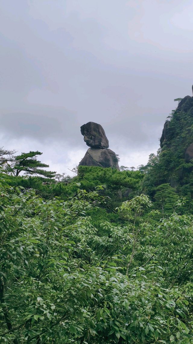 上饒5天4晚｜住懸崖追雲海！避開人潮的小眾仙境全攻略