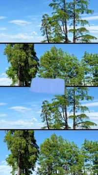 探索海西：穿梭夢幻與荒蕪，邂逅大地極致浪漫