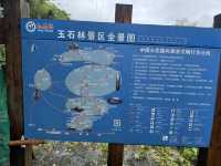 Jade stone forest 