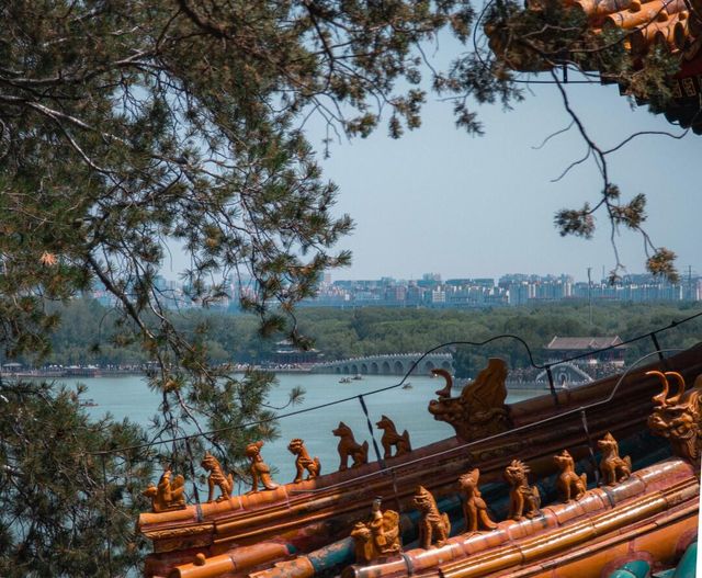 頤和園一日遊：山水畫卷中的悠閒時光