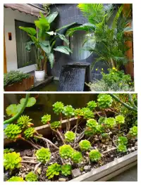 大理住宿推薦