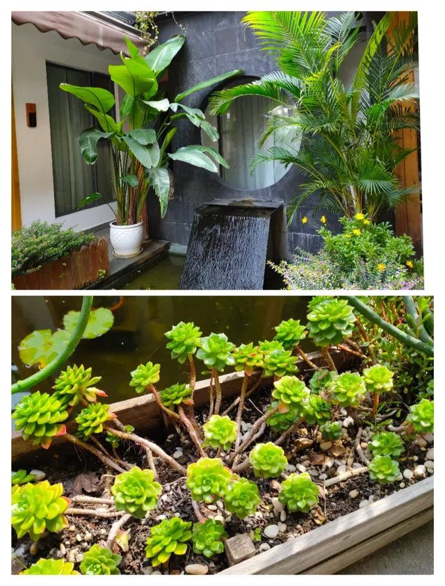 大理住宿推薦