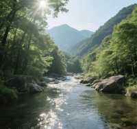 浙里有山，山山不同｜金華牛頭山、溫州雁蕩山、台州天台山旅拍